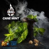 Табак BlackBurn Cane Mint (Тростниковая Мята) 100г Табак BlackBurn Cane Mint (Тростниковая Мята) 100г